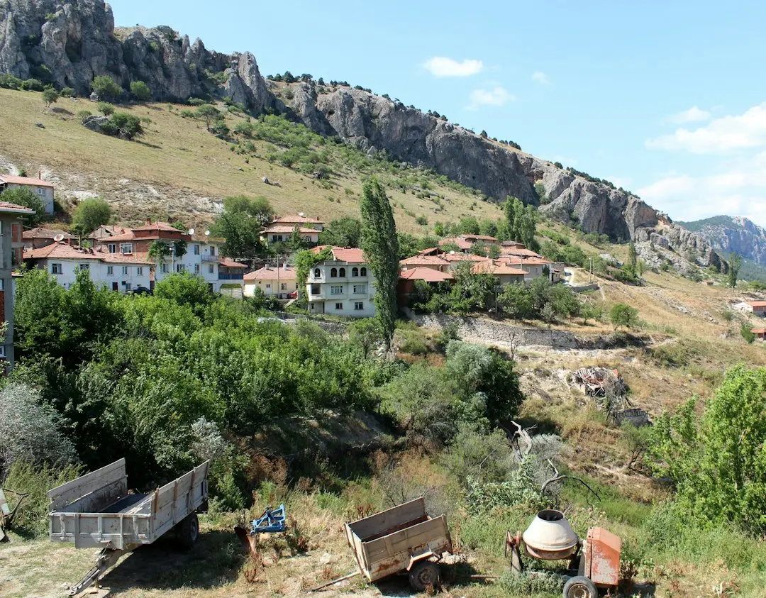 Beduini din sudul Israelului: 4 ore la coadă pentru vot