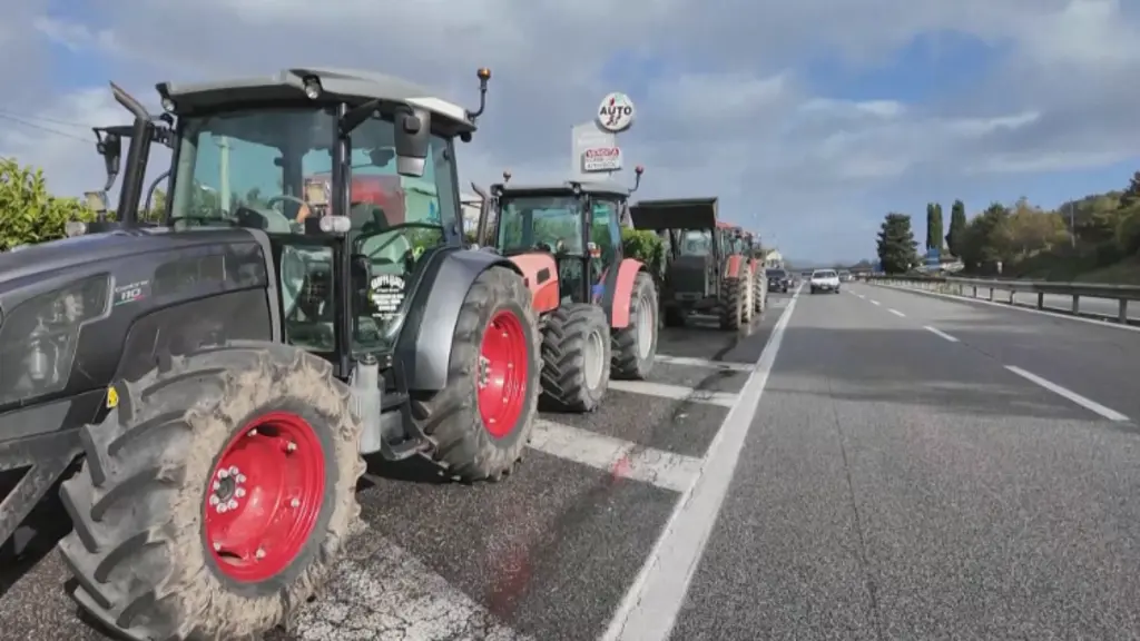 Blocajul camionagilor paralizează producția de mozzarella din Campania: pierderi de 3 milioane de euro
